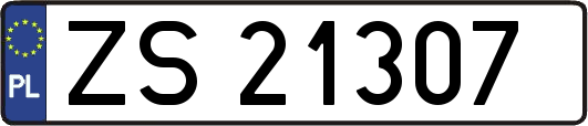 ZS21307