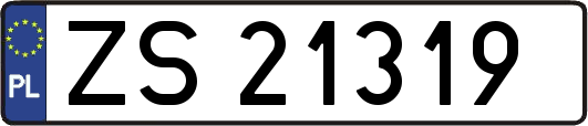 ZS21319