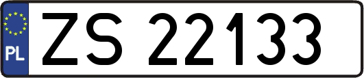 ZS22133