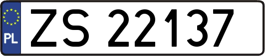 ZS22137