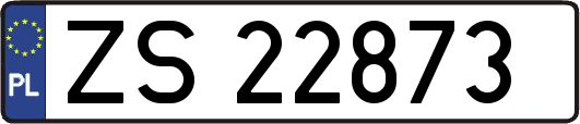 ZS22873