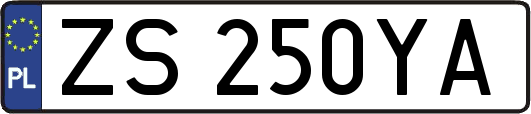 ZS250YA