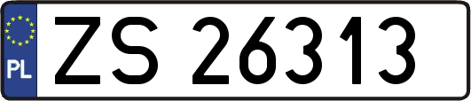 ZS26313