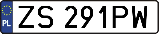 ZS291PW
