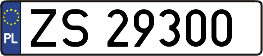 ZS29300