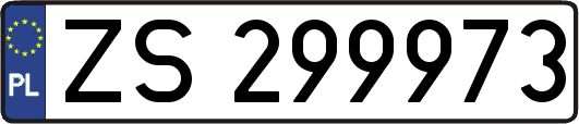 ZS299973