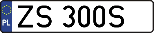ZS300S