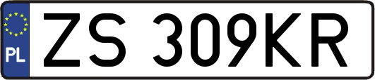 ZS309KR