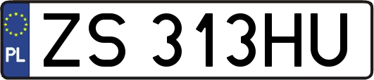 ZS313HU