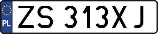 ZS313XJ