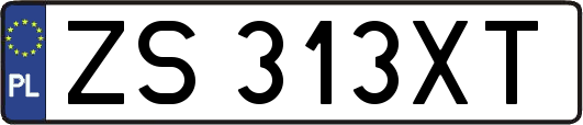 ZS313XT