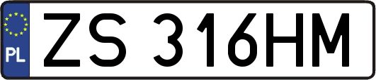 ZS316HM