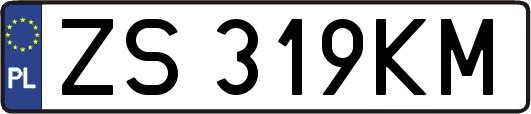 ZS319KM