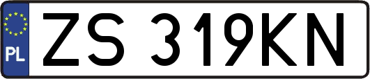 ZS319KN