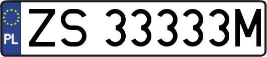 ZS33333M