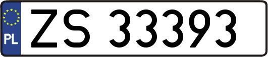 ZS33393