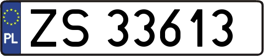 ZS33613