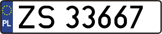 ZS33667