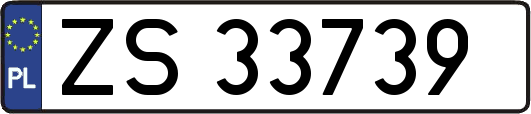 ZS33739