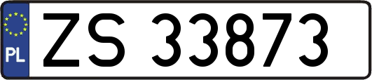 ZS33873