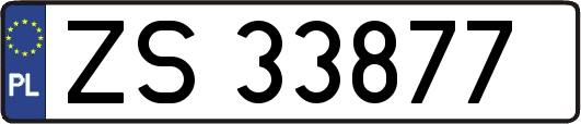 ZS33877