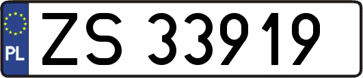 ZS33919