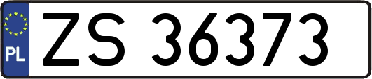 ZS36373