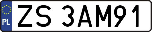 ZS3AM91