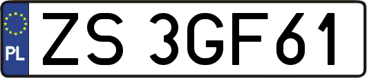 ZS3GF61
