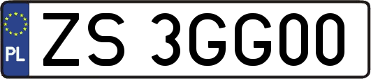 ZS3GG00