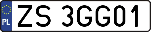ZS3GG01