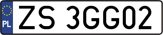 ZS3GG02