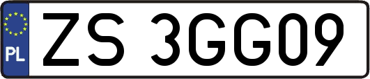 ZS3GG09