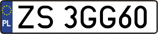 ZS3GG60