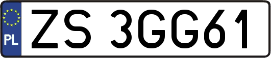 ZS3GG61