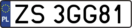 ZS3GG81