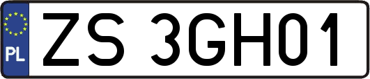 ZS3GH01