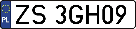 ZS3GH09