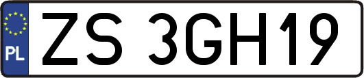 ZS3GH19