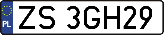ZS3GH29