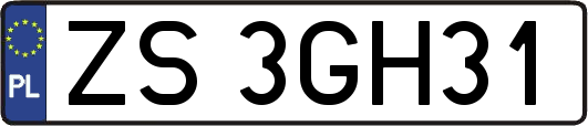 ZS3GH31