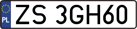 ZS3GH60