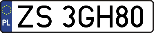 ZS3GH80