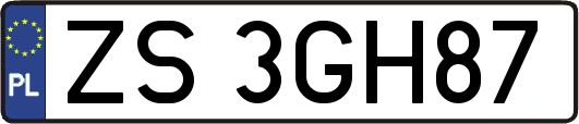 ZS3GH87