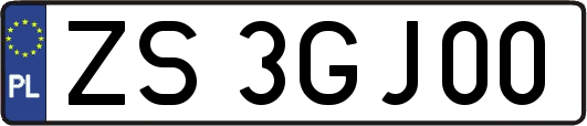 ZS3GJ00