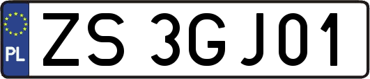 ZS3GJ01