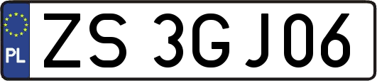 ZS3GJ06
