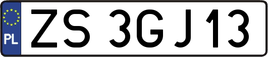 ZS3GJ13