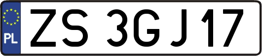 ZS3GJ17