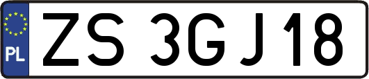 ZS3GJ18